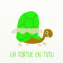 Tortue