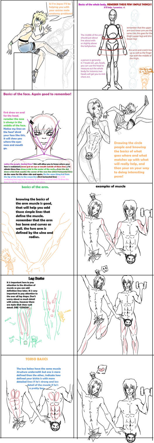 Anime Male Anatomy-Tutorial- by HakuWeapon on DeviantArt