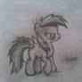 little dashie sketch