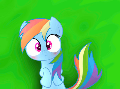 Dashie wut