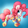 Ponk in socks