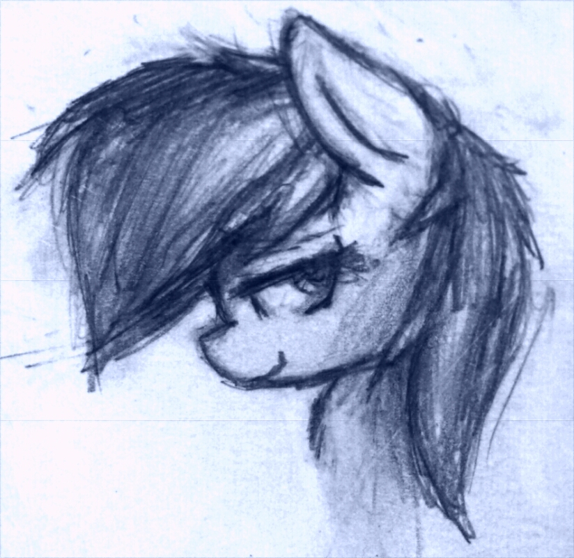 Dash sketch (2)