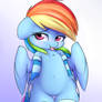 Dashie in sockie