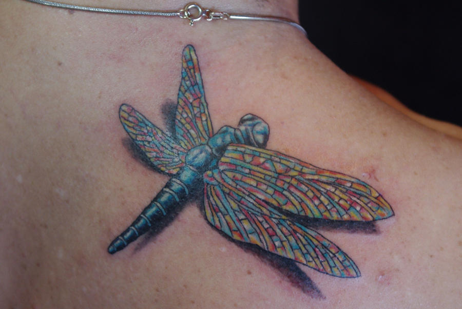 dragonfly of many colours