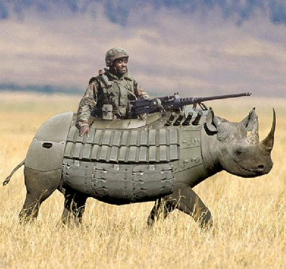 Боевой носорог