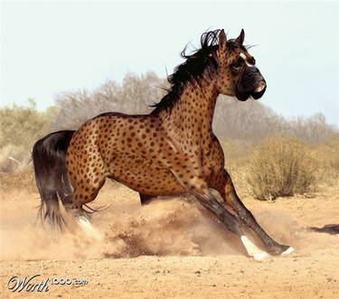 Photomanipulation