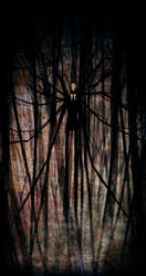 The Slender Man by Pirate-Cashoo