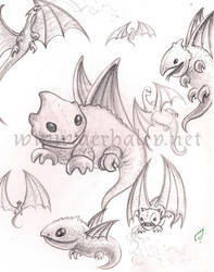 Dragon concepts
