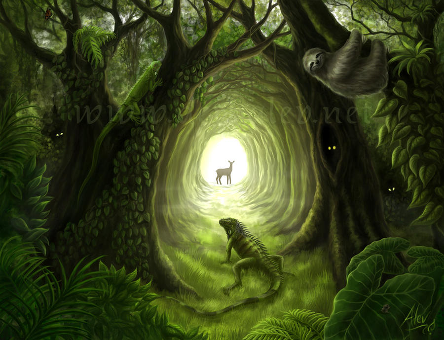 Green Balance by Aerhalev