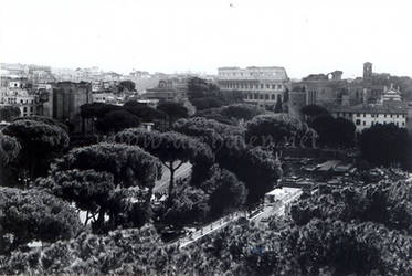 Il Colosseo