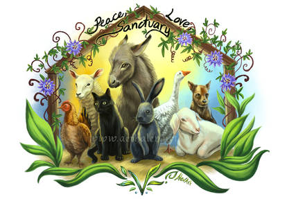 Peace, love, sanctuary