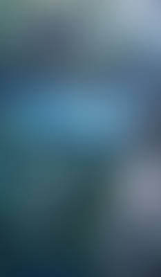 Nacen los Angeles Negros