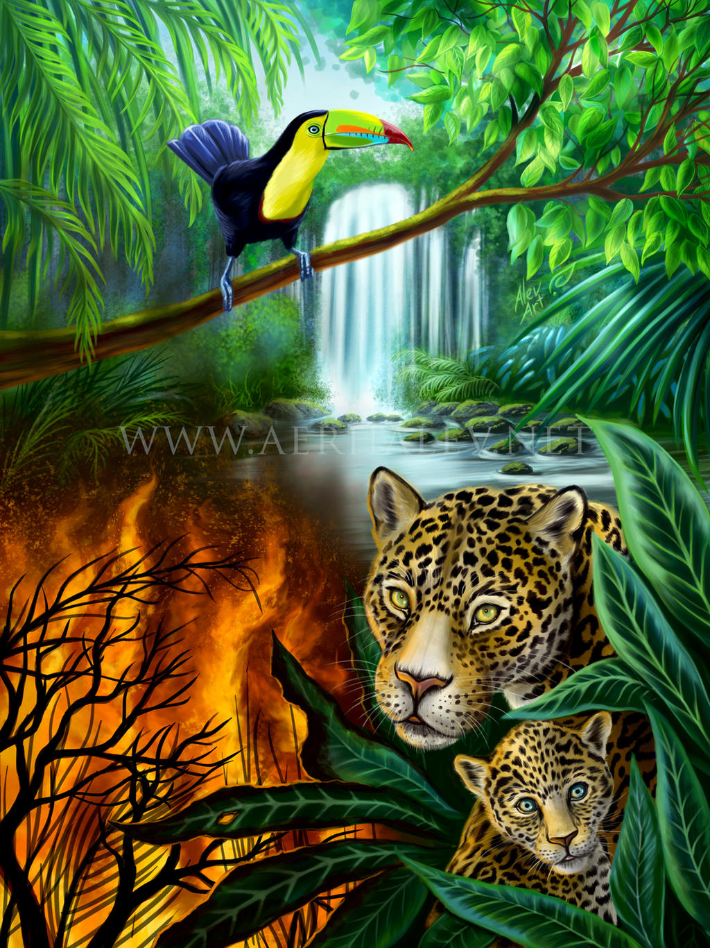 Rainforest Alert