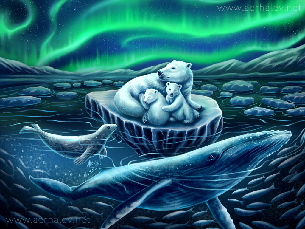 Arctic Dawning