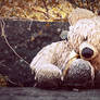 Sad Teddy Bear