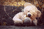 Sad Teddy Bear by WorldII