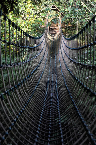 Rope Bridge