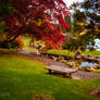 The Japanese Garden 16