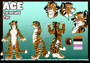 Ace twin tailed tiger Reference sheet