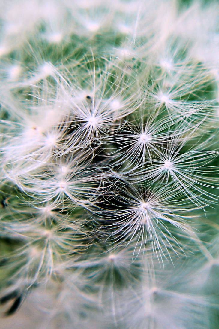 threads by DawnieH83 on DeviantArt