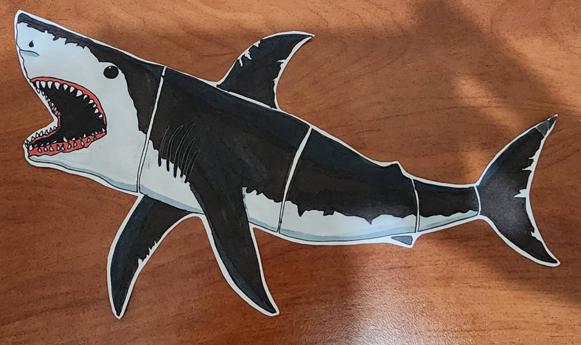 Megalodon by FossilStyler on DeviantArt