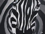 Zebrahead by raindropcatcher