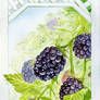 Blackberries