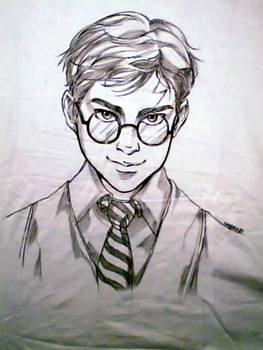 Harry Potter-shirt-commission