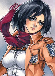 Aceo: Mikasa