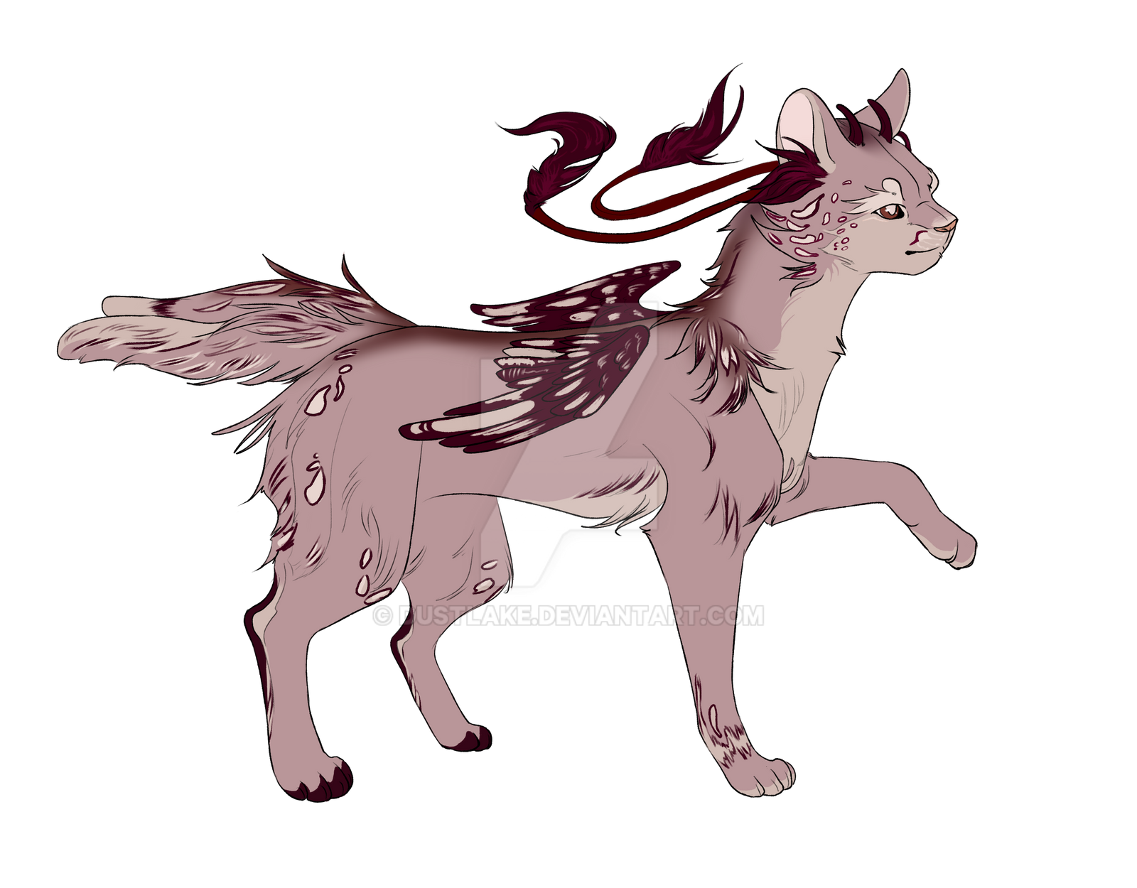Feral Cat By Dustlake On DeviantArt feral-cat-by-dustlake-on-deviantart