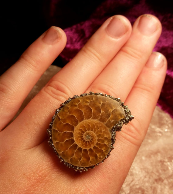 Ammonite and Pyrite Ring