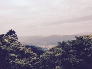 Mountains of Japan