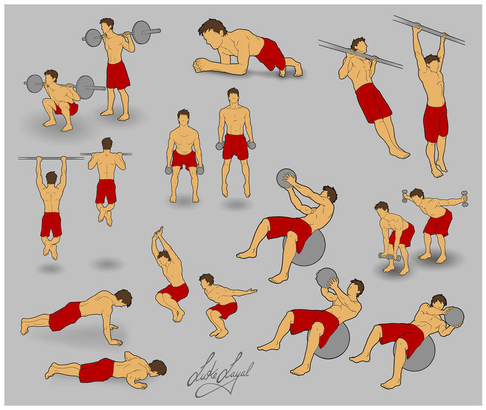 Exercise Schematic Exercise Diagram 2 by Lo-yal on DeviantArt