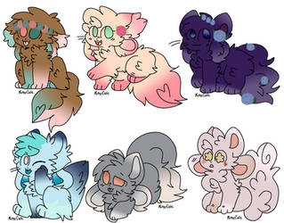 Kittydog Adopts 1