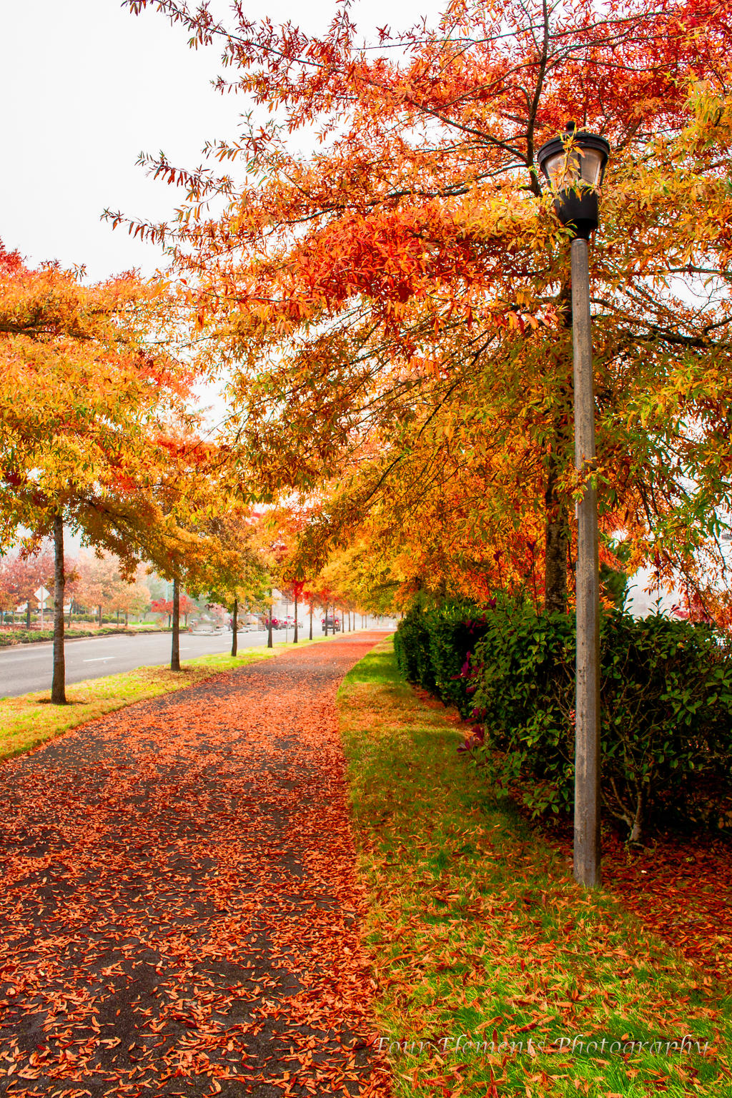 Fall in Washington