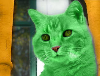 Green Cat