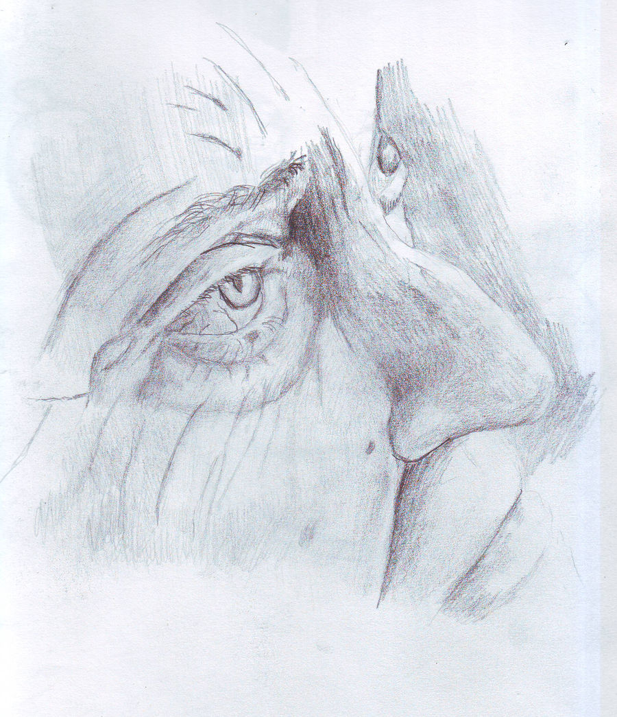 Random Face by PersonasProject on DeviantArt
