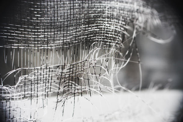Screen Rip Pictures Ripped Screen by faythrose on DeviantArt