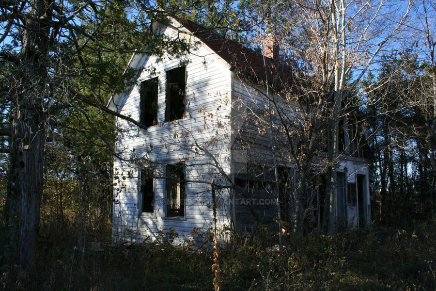 The House In The Woods