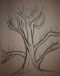 Tree Study: Curved Lines