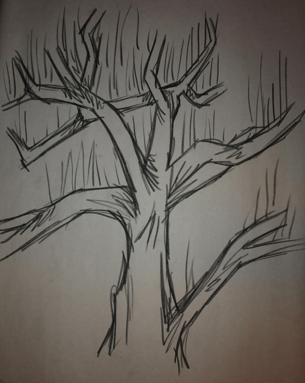 Tree Study: Straight Lines by Lyriael on DeviantArt