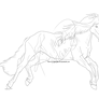 Leap Lines