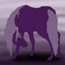 Purple Copy