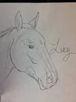 Lucy