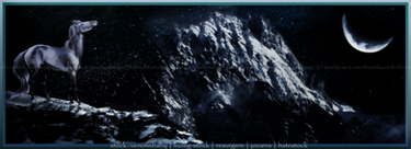 Winter Banner