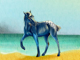 Sommir