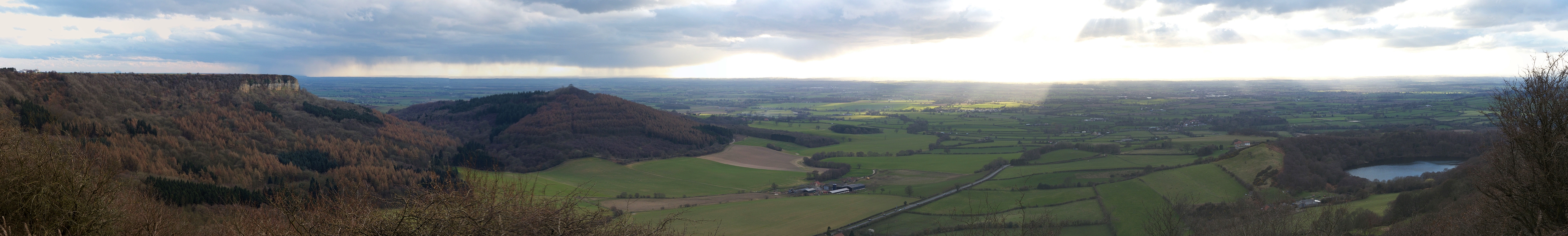 21-3-2014 Yorkshire Moors XXXXVIII