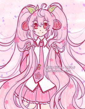 sakura Miku