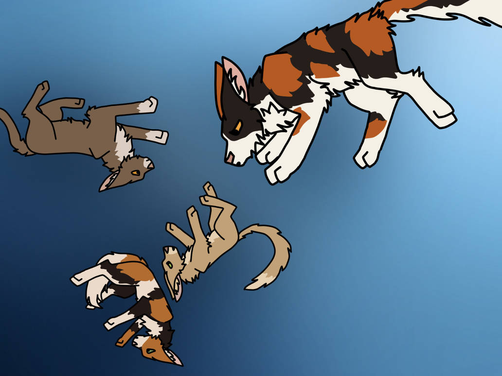 Kit Death Mapleshade kits death by TheMadSketcher1 on DeviantArt