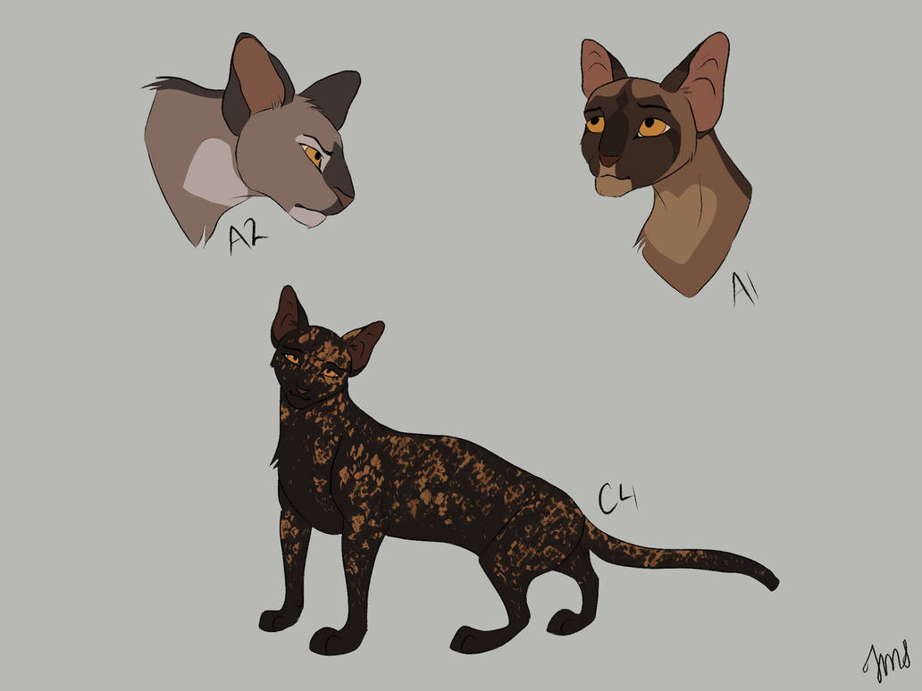 A1, A2, C4 by TheMadSketcher1 on DeviantArt